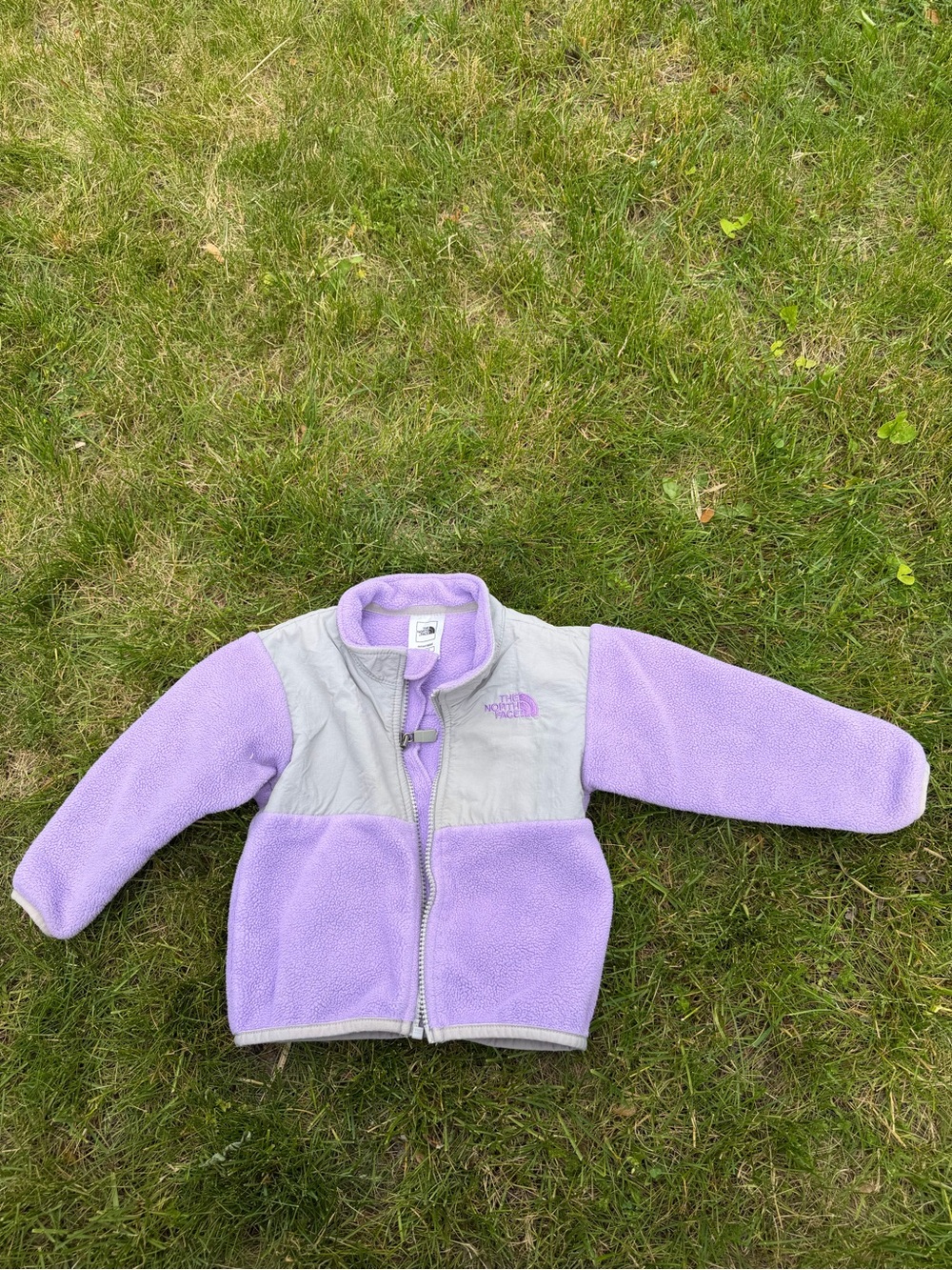 The North Face Lilac and Light Gray Fleece Jacket